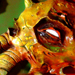 Tattoos - island detail - 32643